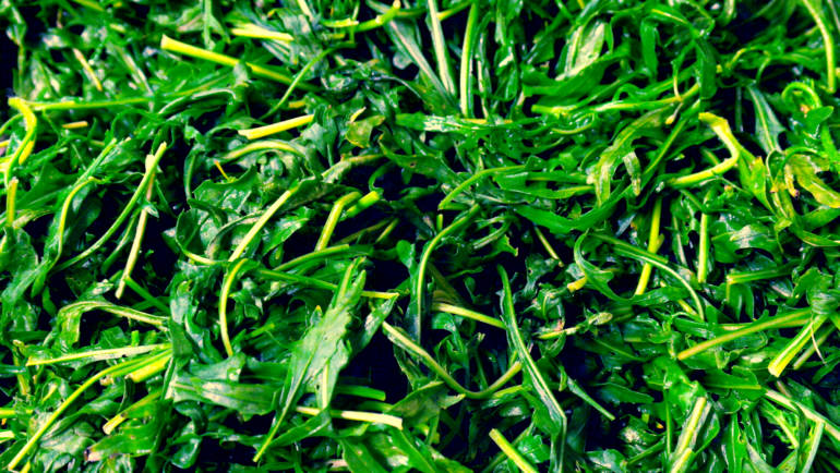 Verdura… cosa vuoi che sia?!?!? Cambiamo punto di vista