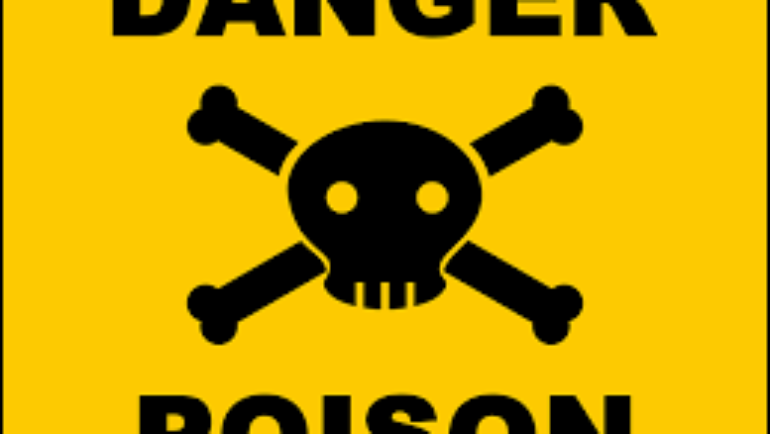 Le Calorie Vuote, il grande business dell’industria del Cibo Contemporanea