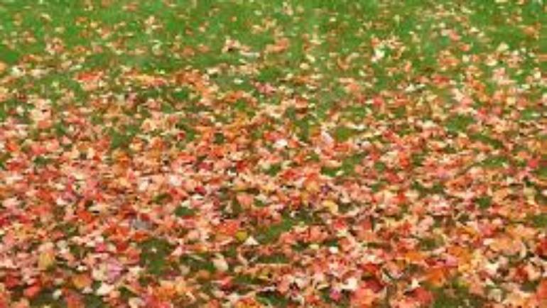 Cambio di stagione. Come lo affrontiamo?